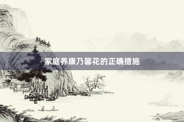 家庭养康乃馨花的正确措施
